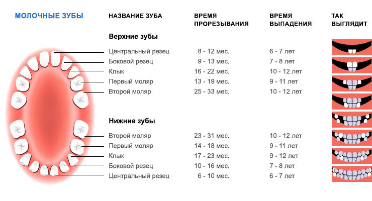 Умные щетки приучат детей чистить зубы 2 минуты - 12