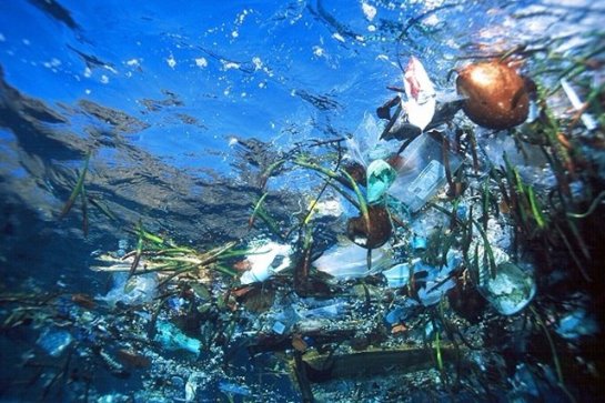 К Северному полюсу Земли доплыл пластиковый мусор