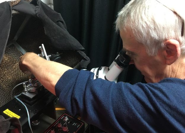 Почему муху так сложно прихлопнуть? - 5 Почему муху так сложно прихлопнуть? - 5