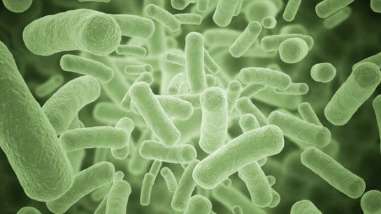Ученые научились выявлять антибиотикорезистентные бактерии за 30 минут