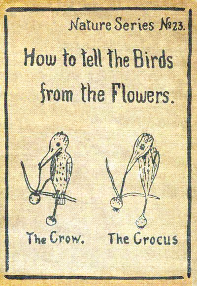 Как отличать птиц от цветов. Или цветы от птиц - 1