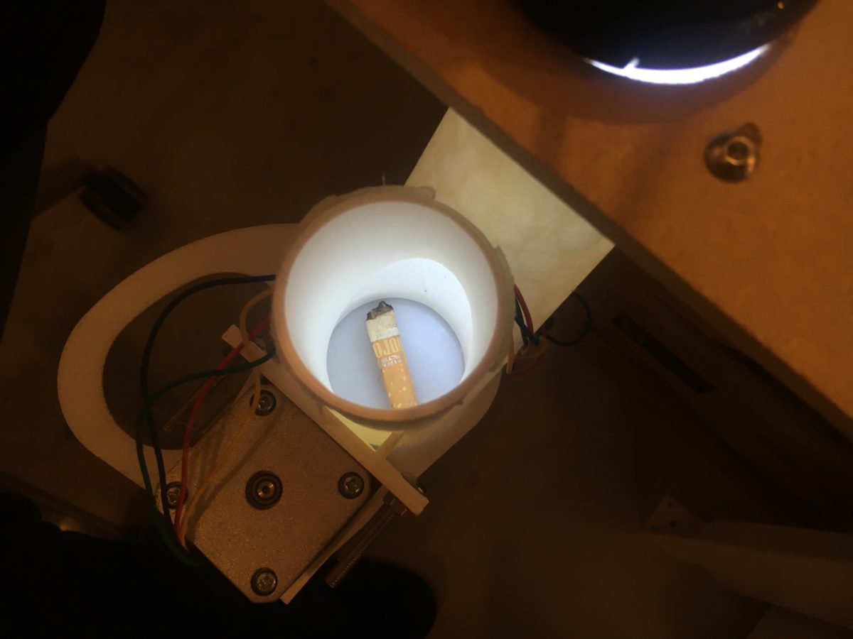 Голландский стартап учит ворон обменивать окурки на еду - 4 Голландский стартап учит ворон обменивать окурки на еду - 4