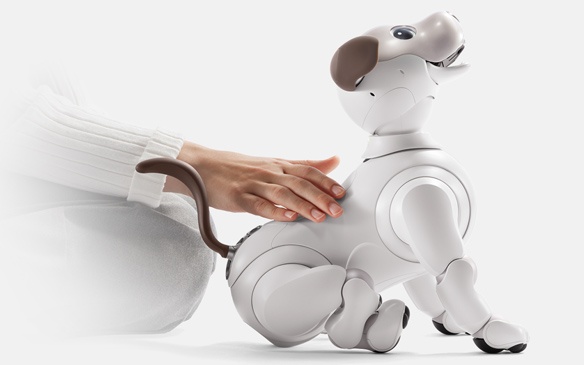 Sony возобновляет производство роботов-собак AIBO - 2