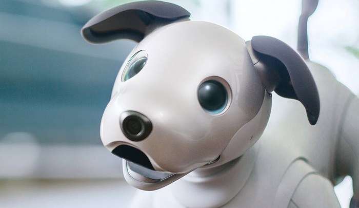 Sony показала нового робота Aibo, который оценен в $1740