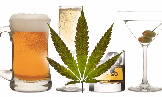 Специалисты рассказали, как марихуанна и алкоголь влияют на успешность человека