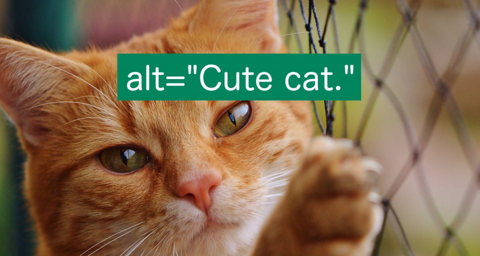 Здесь изображение котика с атрибутом alt=«Милый котик».