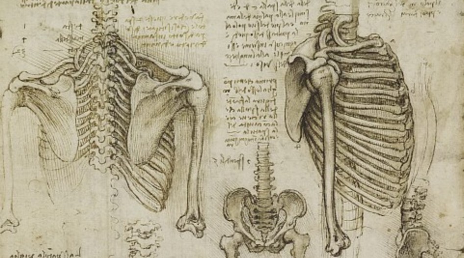 Pediatric Bone Age Challenge. Deep Learning и много, много костей - 1