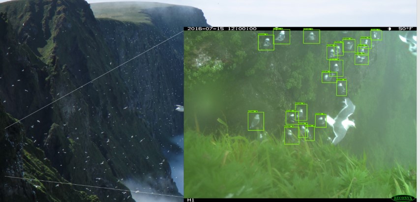Обнаружение птиц с помощью Azure ML Workbench - 2 Обнаружение птиц с помощью Azure ML Workbench - 2