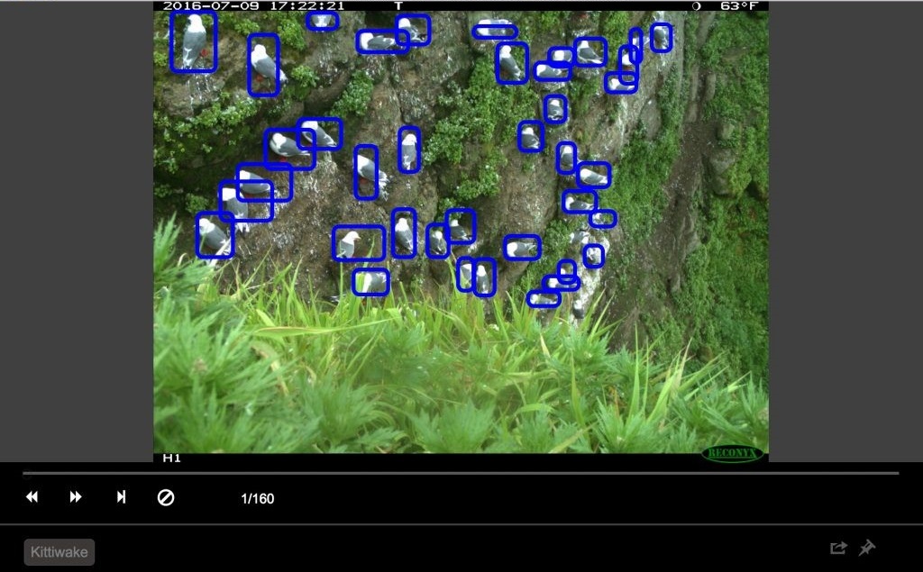 Обнаружение птиц с помощью Azure ML Workbench - 6 Обнаружение птиц с помощью Azure ML Workbench - 6