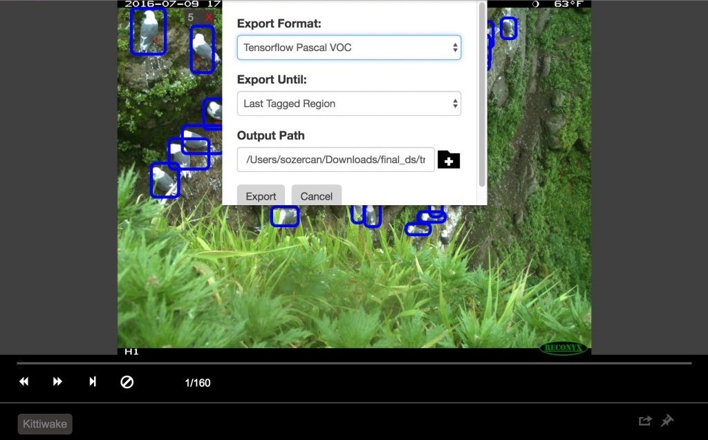 Обнаружение птиц с помощью Azure ML Workbench - 7 Обнаружение птиц с помощью Azure ML Workbench - 7