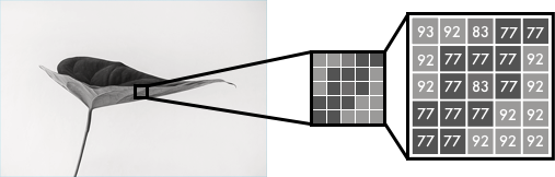 Раскрашиваем чёрно-белую фотографию с помощью нейросети из 100 строк кода - 3