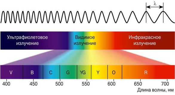 Среднеформатная пленочная фотография в близком инфракрасном спектре - 4