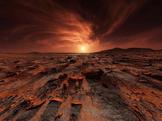 На Марсе смогут прожить черви