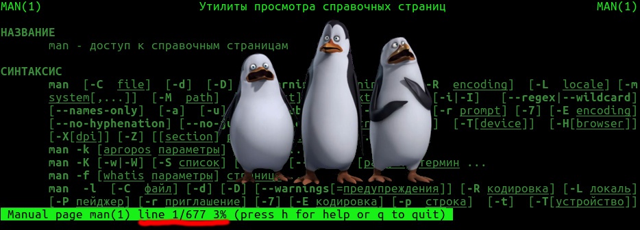 tldr — альтернатива man с названием, говорящим за себя - 1