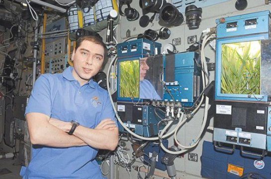 Специалисты рассказали об овощах, выращенных в космосе