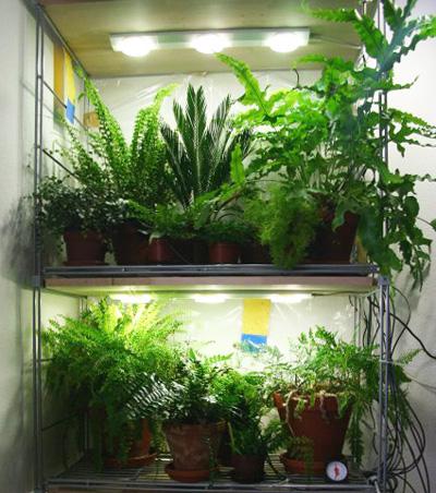 Освещение растений белыми светодиодами — проверочная работа - 9