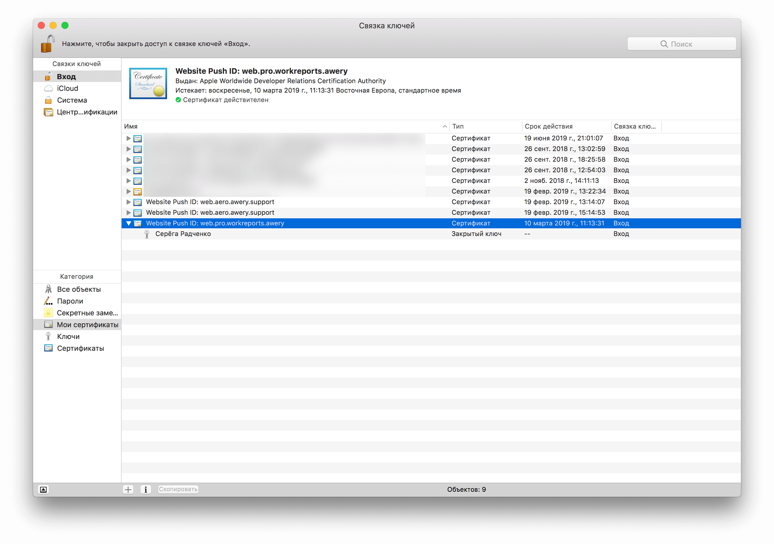 Как сделать Push уведомления в браузере Safari на macOS - 14