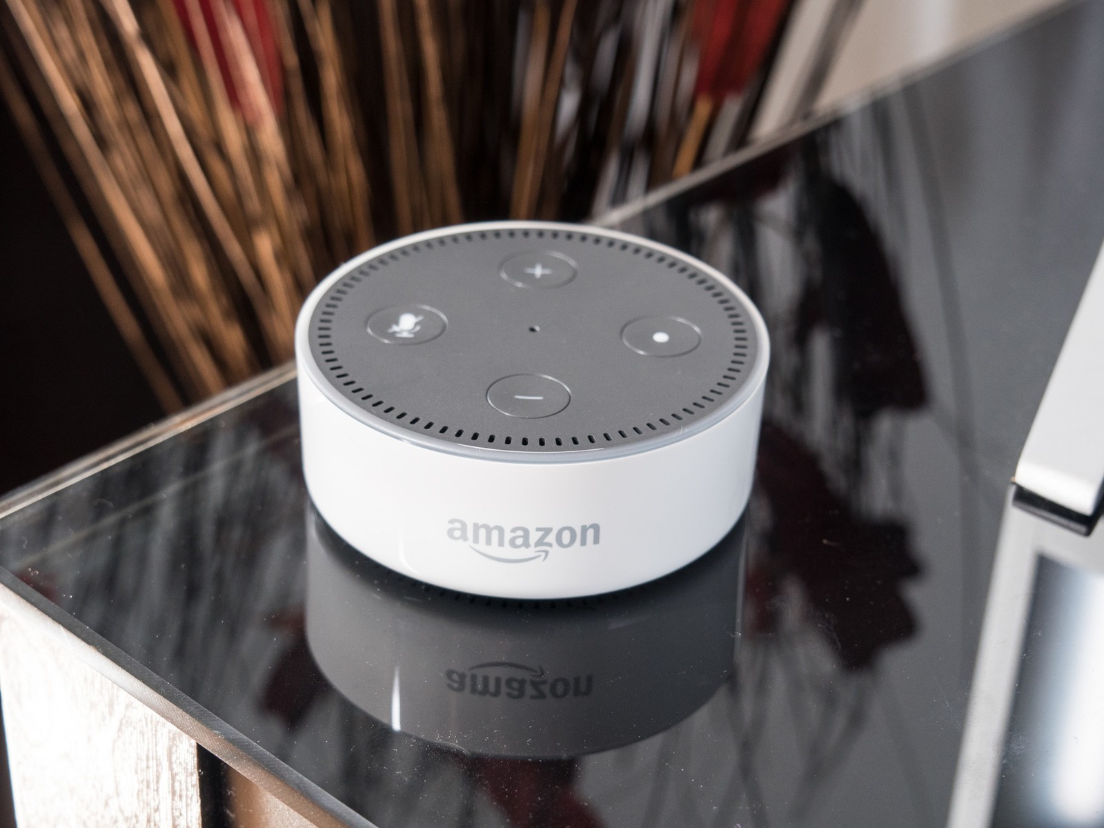 Что мы знаем об Amazon Alexa? Или первые впечатления от Amazon Echo Dot - 1
