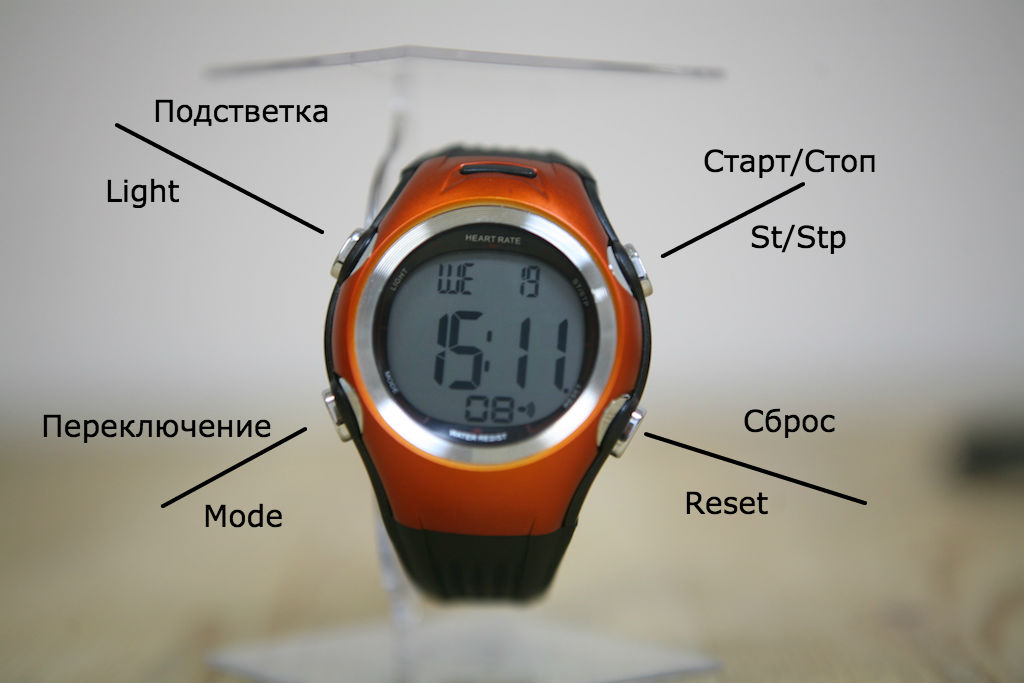 ISport W117 — дешевый пульсометр к началу сезона - 2