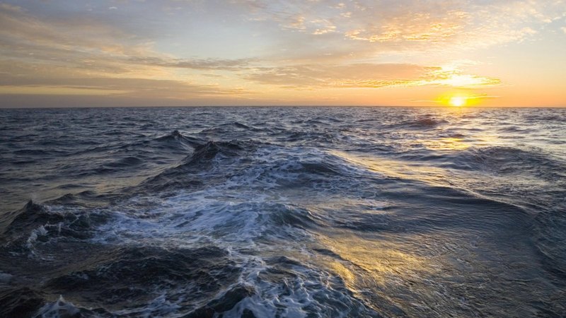 Что такое морские течения и как их исследуют