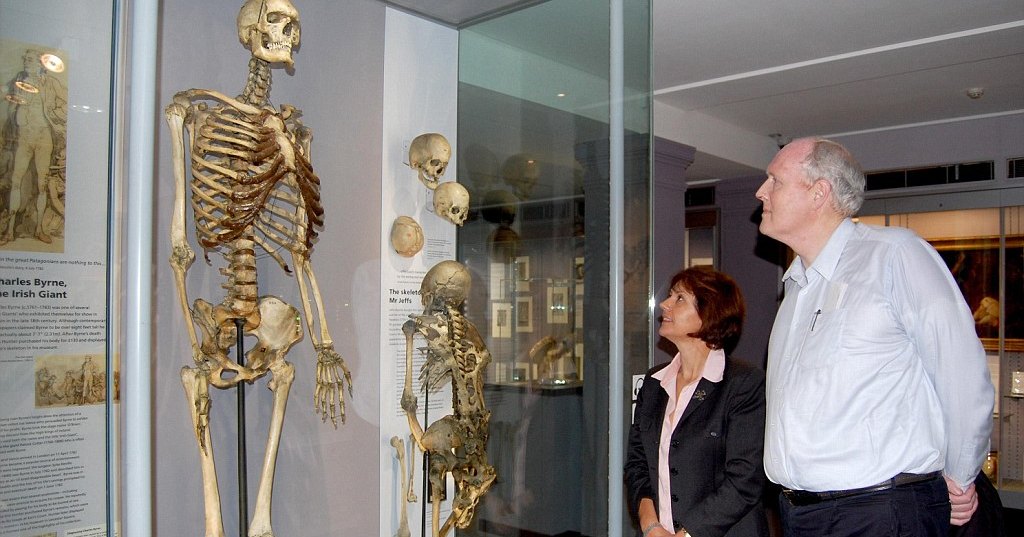 Скелет гиганта из лондонского музея похоронят спустя 200 лет