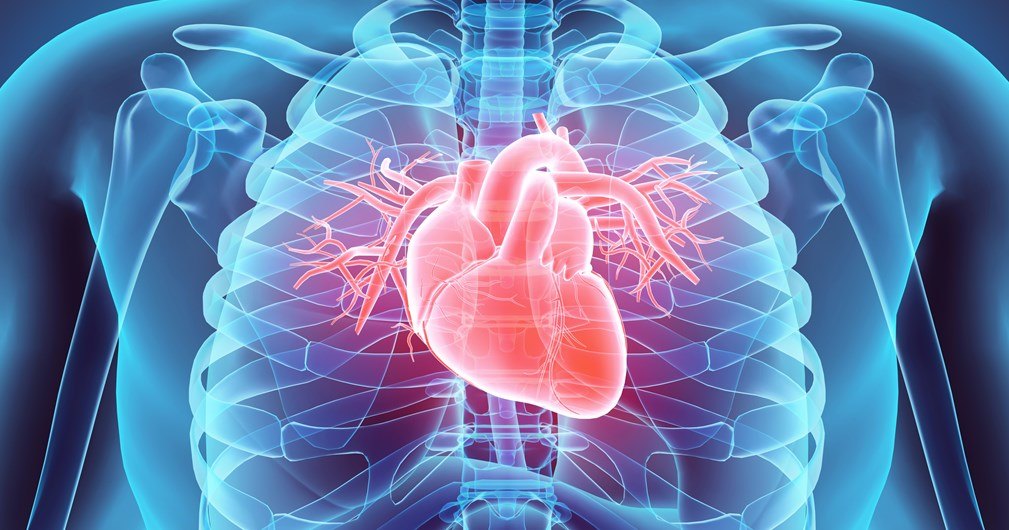 Рекордная трансплантация: воскрешение умирающего сердца