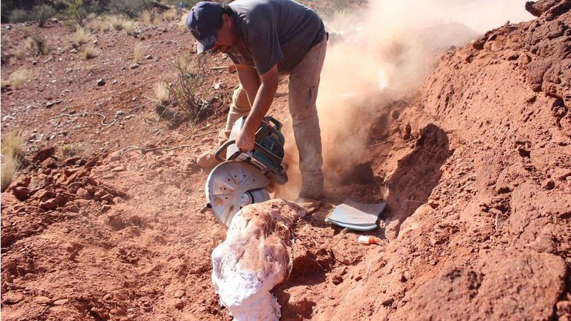 Археологи обнаружили кости самого большого из ранних динозавров