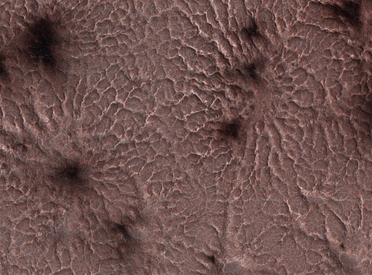 Фото дня: «пауки» на поверхности Марса