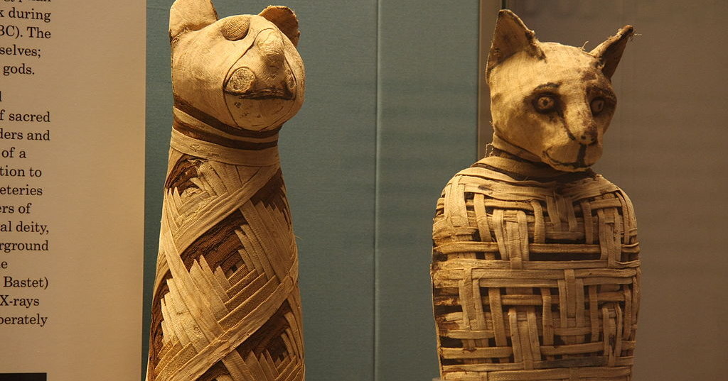 В Египте нашли «фабрику мумий»