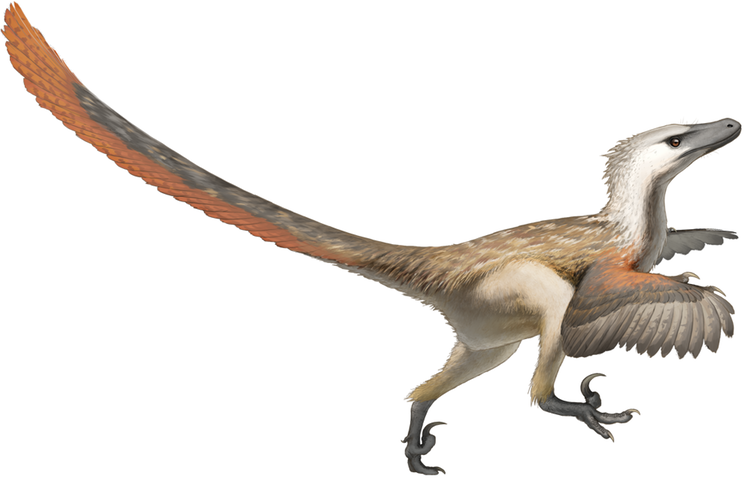 Мир Юрского периода: а можем ли мы на самом деле воскресить динозавров? - 2