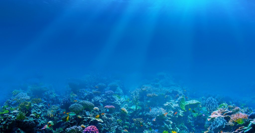 87% мирового океана подвергается воздействию человека