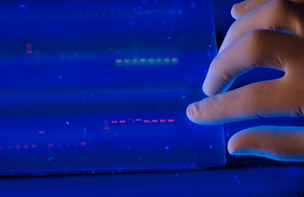 «Массовый продукт»: первое коммерческое ДНК-хранилище представят в 2019 году - 1