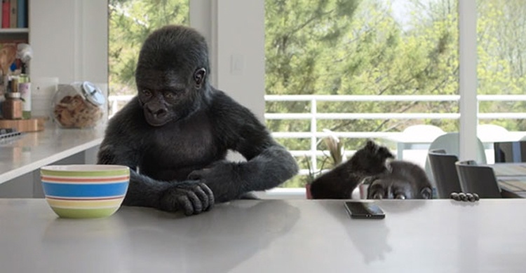Защитное стекло Gorilla Glass 6 дебютирует на смартфоне OPPO