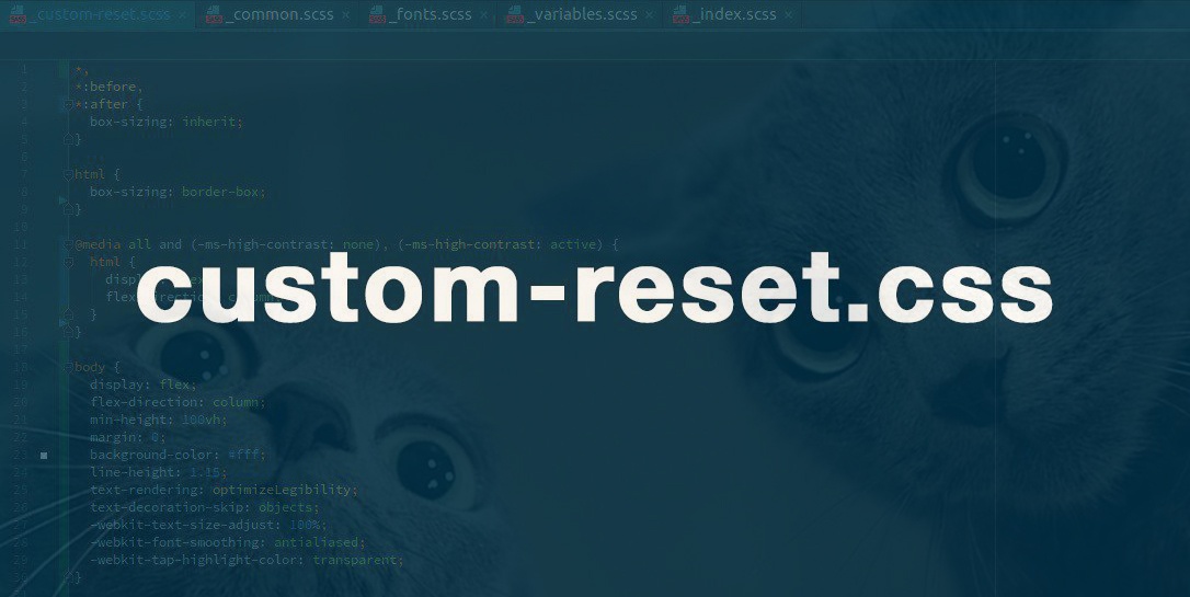 Кастомный подход для нормализации и сброса стилей (custom-reset.css) - 1