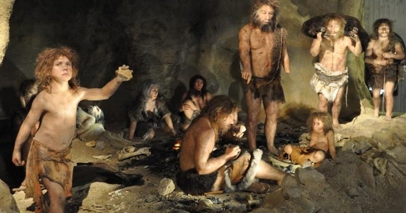 7 фактов о гибриде неандертальца и денисовского человека