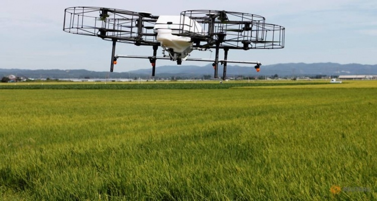 В Японии тестируют дроны, которые снизят нагрузку на стареющих фермеров
