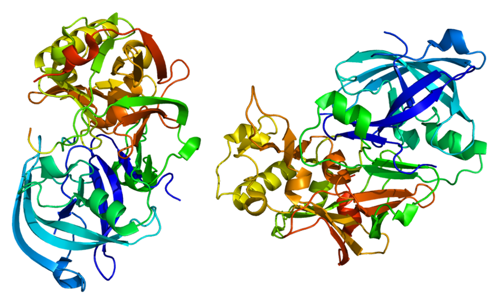SENS-Диагностика. Биомаркеры белковых агрегатов - 2