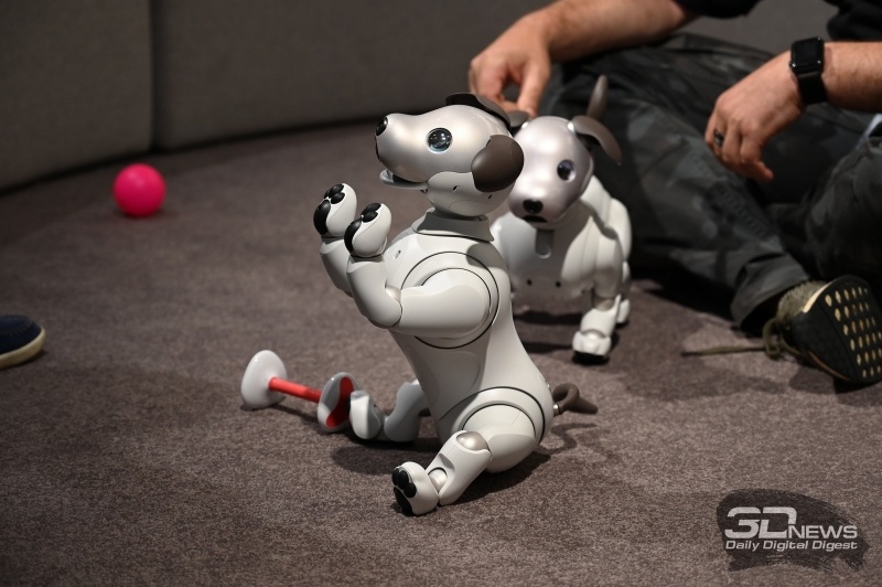 Новая статья: IFA 2018: самый милый робот, телевизор для гурманов и другие новинки Sony
