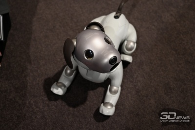 Новая статья: IFA 2018: самый милый робот, телевизор для гурманов и другие новинки Sony