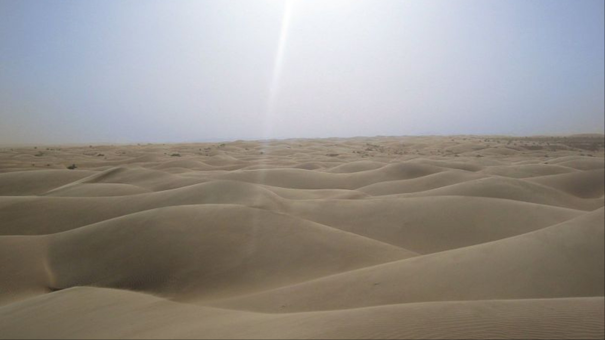 Ветро- и солнечные энергостанции в Сахаре помогут улучшить климатические условия пустыни - 1