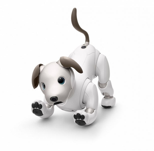 Новый робот-собака Sony Aibo вышел за пределы Японии