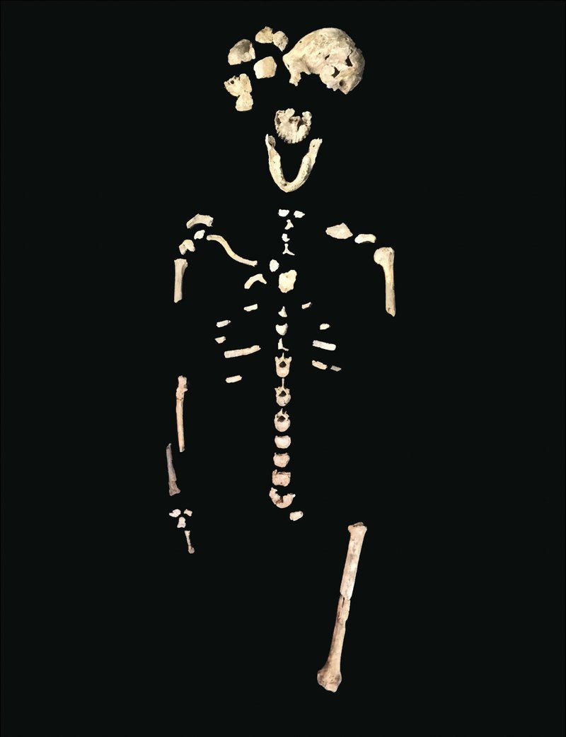 Что мы знаем о Homo naledi: 7 интересных фактов - 2