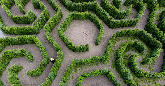 Математик спроектировал ботанический сад в виде уникального «зеленого» лабиринта