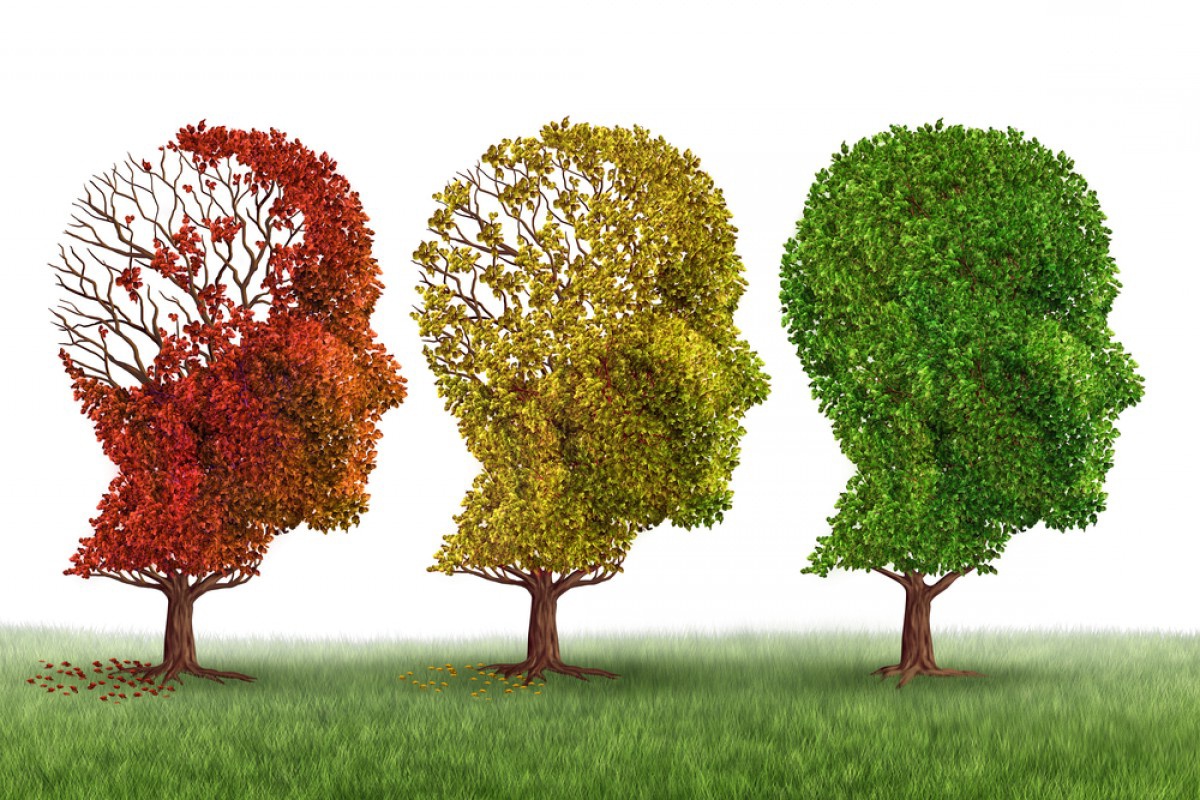 Клинические испытания показали уменьшение прогрессии болезни Альцгеймера более чем наполовину - 1