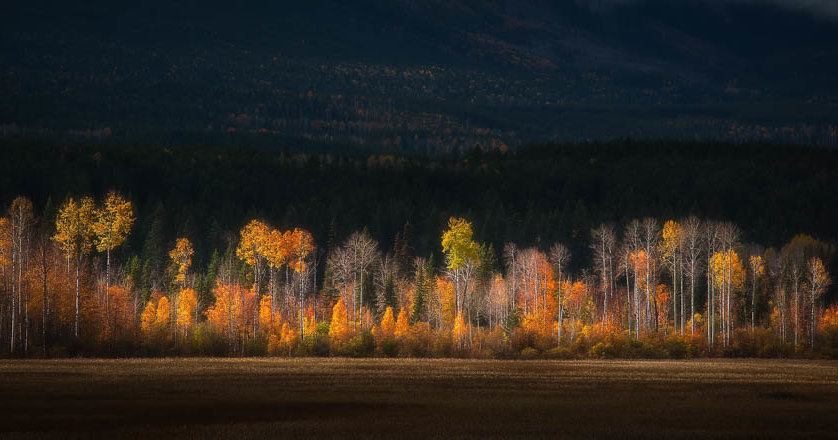 Удивительные панорамные фотографии: победители конкурса Pano Awards 2018