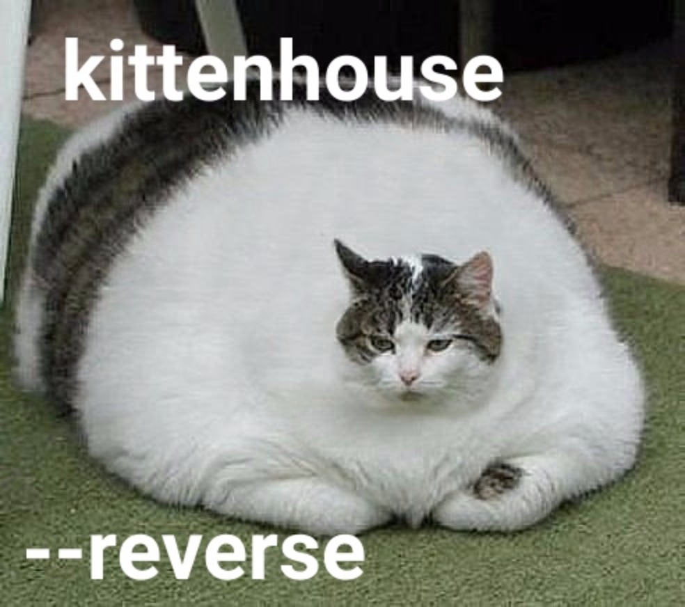 Использование ClickHouse в VK, или Зачем мы написали KittenHouse - 5