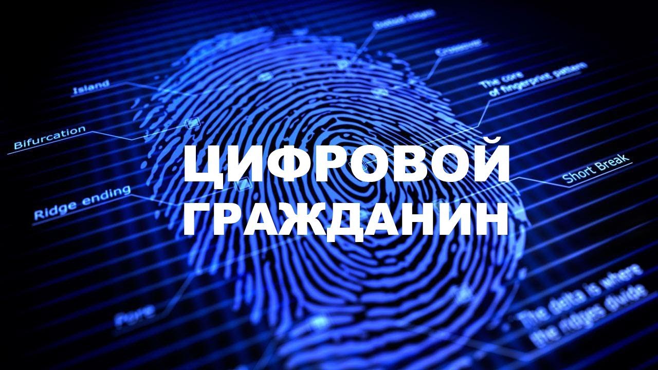 Прототип платформы цифрового профиля гражданина запустят в РФ до конца 2019 года - 1