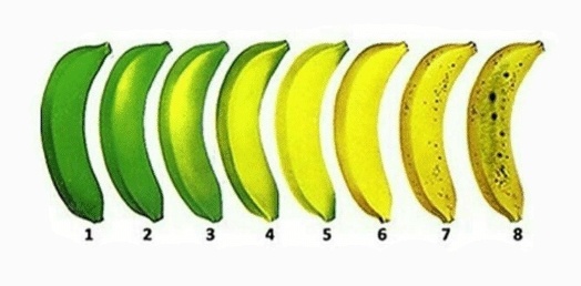 Заметки фитохимика. Банановая шкурка наносит ответный удар - 6