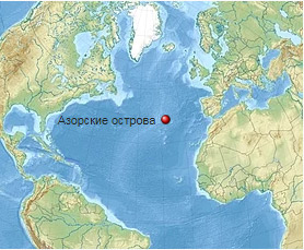 Азоры: последний резерв флоры в середине Атлантического океана - 2