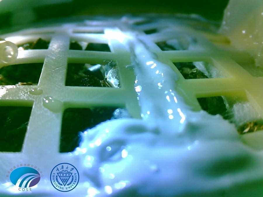 В биоконтейнере на Луне проросли первые растения - 1